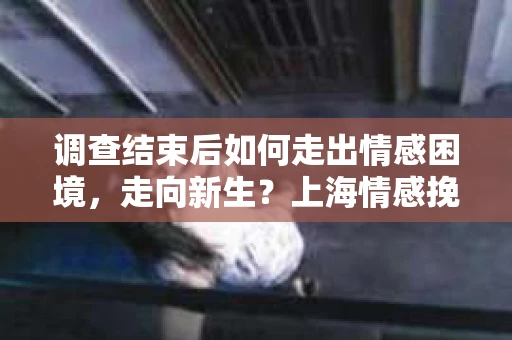 调查结束后如何走出情感困境，走向新生？上海情感挽回婚姻公司给出的专业建议
