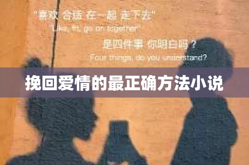 挽回爱情的最正确方法小说