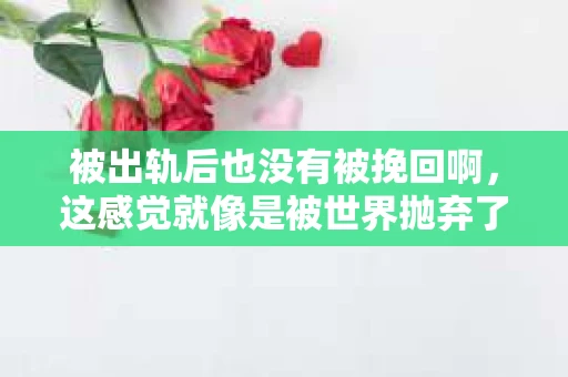 被出轨后也没有被挽回啊，这感觉就像是被世界抛弃了一样。我曾经也经历过这样的事情，那种心如刀割的痛，至今仍记忆犹新。今天，我想和大家聊聊这个话题，希望能给那些正在经历或者曾经经历过类似痛苦的人一些安慰和帮助。