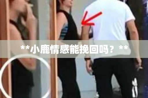 **小鹿情感能挽回吗？**