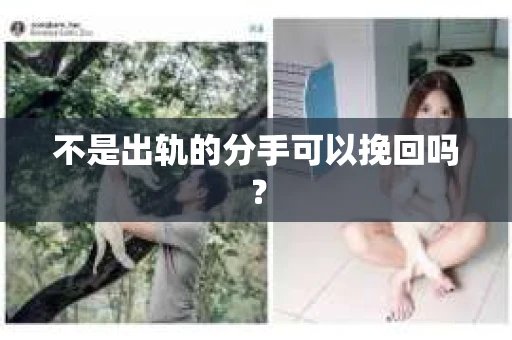 不是出轨的分手可以挽回吗？
