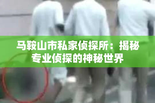 马鞍山市私家侦探所：揭秘专业侦探的神秘世界