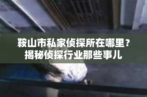 鞍山市私家侦探所在哪里？揭秘侦探行业那些事儿