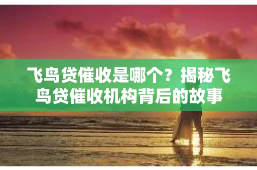 飞鸟贷催收是哪个？揭秘飞鸟贷催收机构背后的故事