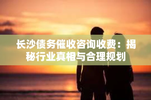 长沙债务催收咨询收费：揭秘行业真相与合理规划