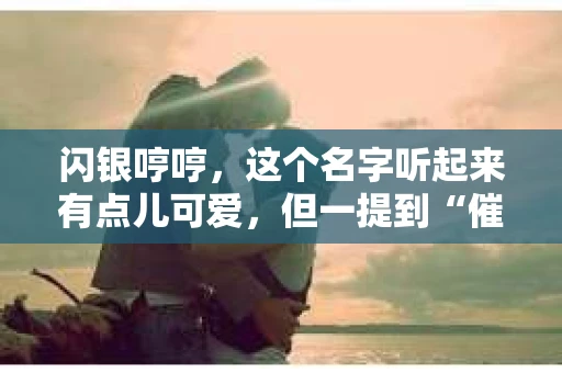 闪银哼哼，这个名字听起来有点儿可爱，但一提到“催收”，气氛就变得严肃起来。今天，我们就来聊聊这个话题，揭开“闪银哼哼催收”的神秘面纱。