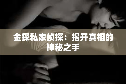 金探私家侦探：揭开真相的神秘之手