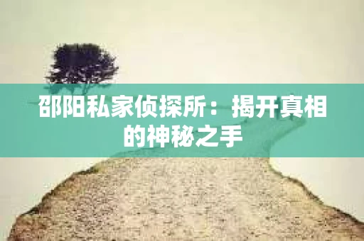 邵阳私家侦探所：揭开真相的神秘之手