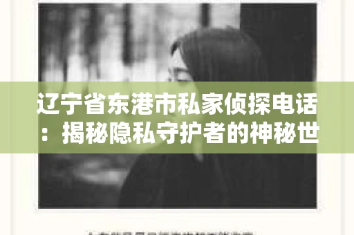 辽宁省东港市私家侦探电话：揭秘隐私守护者的神秘世界