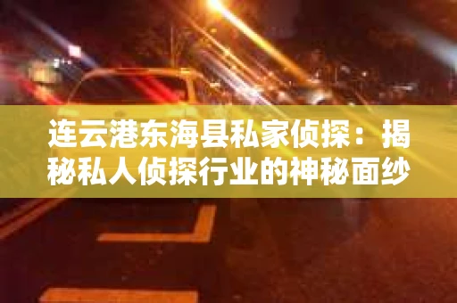 连云港东海县私家侦探：揭秘私人侦探行业的神秘面纱