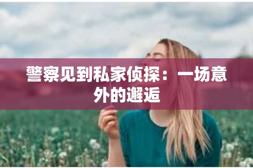 警察见到私家侦探：一场意外的邂逅