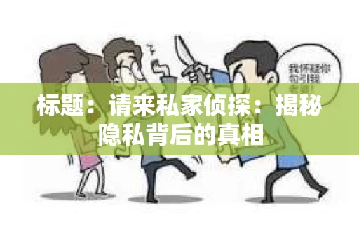 标题：请来私家侦探：揭秘隐私背后的真相
