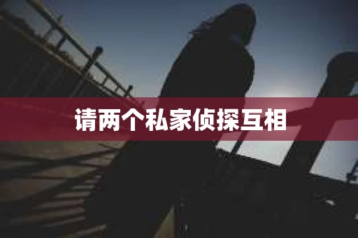 请两个私家侦探互相