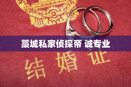 藁城私家侦探帝 诚专业
