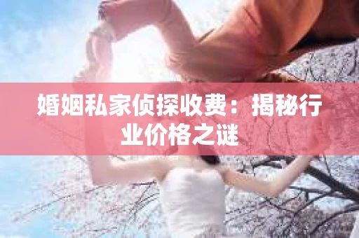 婚姻私家侦探收费：揭秘行业价格之谜