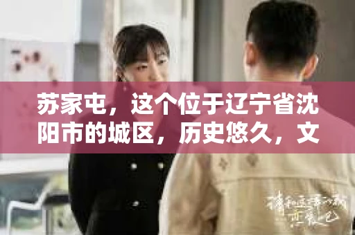 苏家屯，这个位于辽宁省沈阳市的城区，历史悠久，文化底蕴深厚。近年来，随着社会的发展，人们对于私家侦探的需求也逐渐增加。那么，苏家屯有私家侦探吗？今天，我们就来聊聊这个话题。