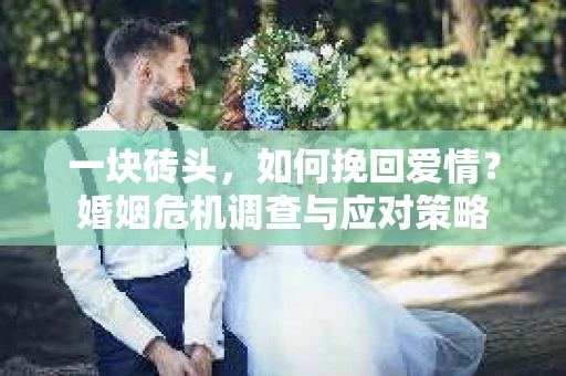 一块砖头,如何挽回爱情?婚姻危机调查与应对策略 一块砖头,如何挽回爱情?婚姻危机调查与应对策略