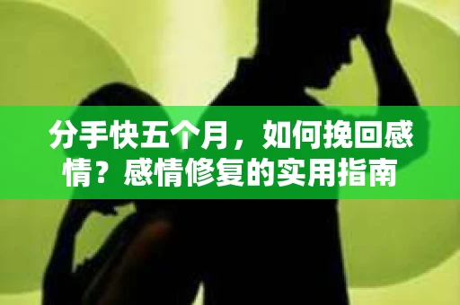 分手快五个月，如何挽回感情？感情修复的实用指南