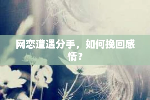 网恋遭遇分手，如何挽回感情？